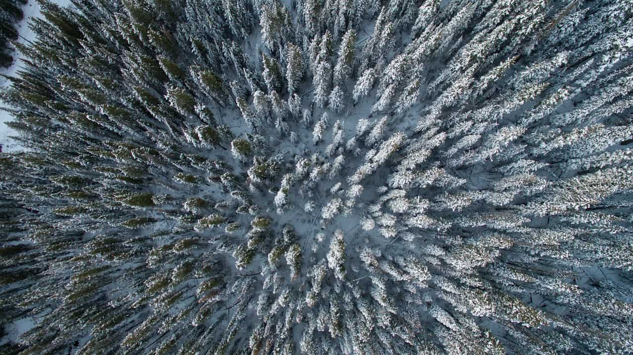 vista aérea