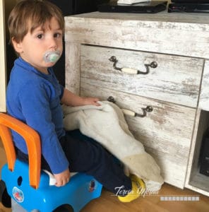 apego bebe